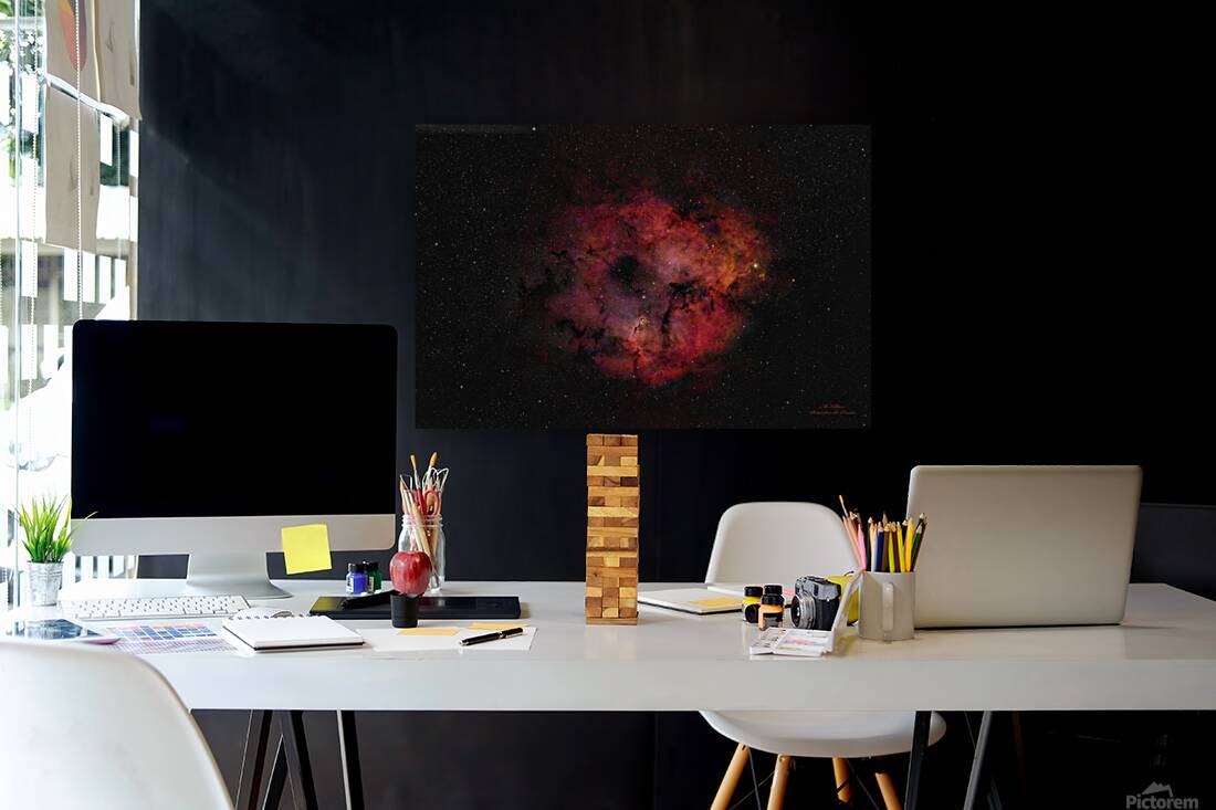 Elephant Trunk Nebula Reproduction