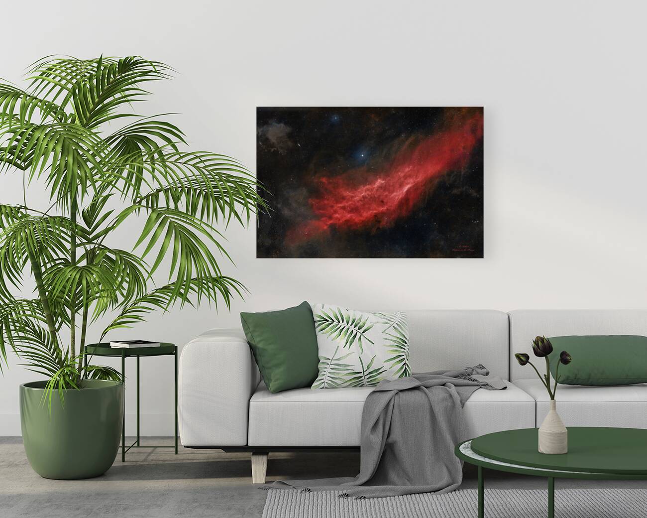 California Nebula  Reproduction