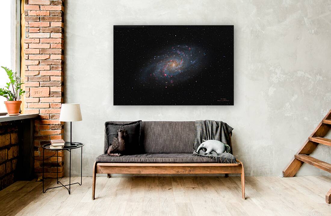 Triangulum Galaxy M33 Reproduction