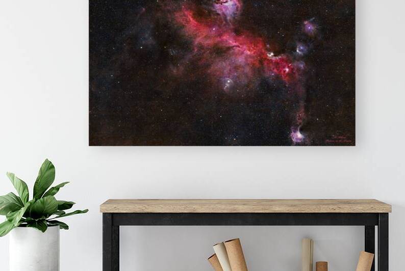 Seagull Nebula  by Mark Killion