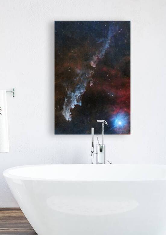 Witch Head Nebula vertical by Mark Killion