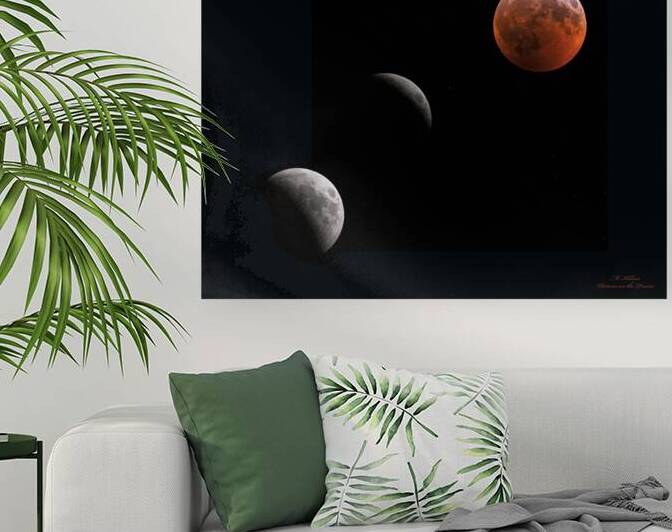 2019 Lunar Eclipse Phases by Mark Killion