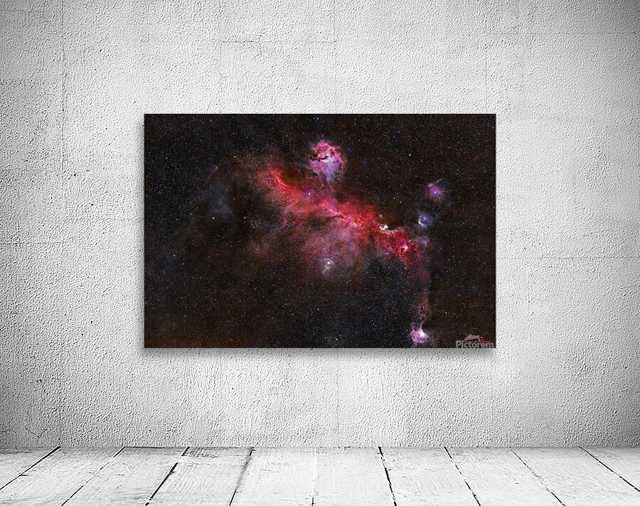 Seagull Nebula  Wall Preview
