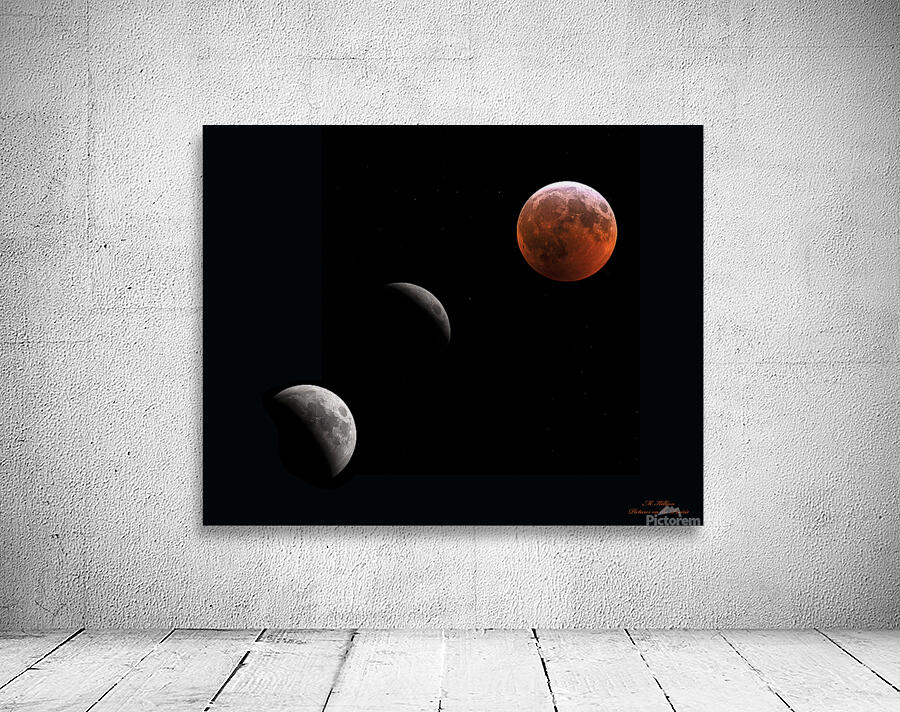 2019 Lunar Eclipse Phases Wall Preview