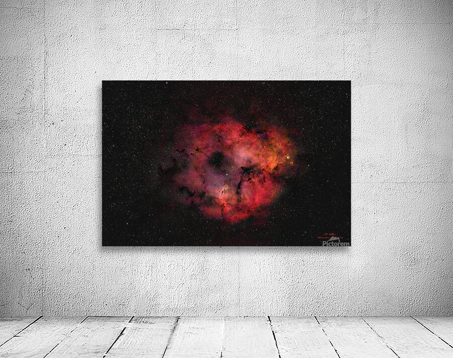 Elephant Trunk Nebula Wall Preview