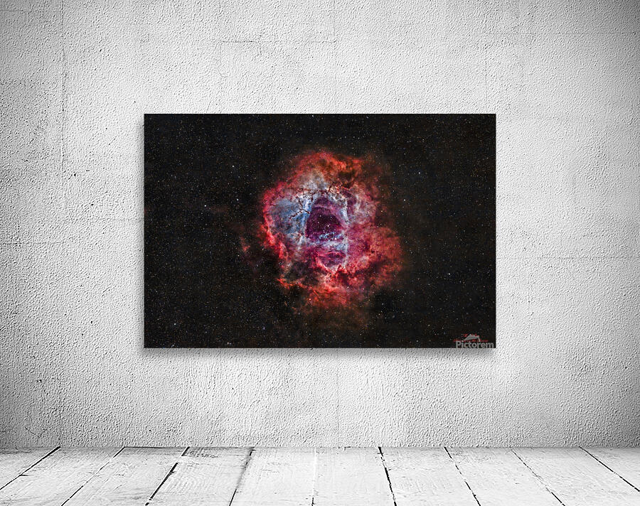 Rosette Nebula Wall Preview