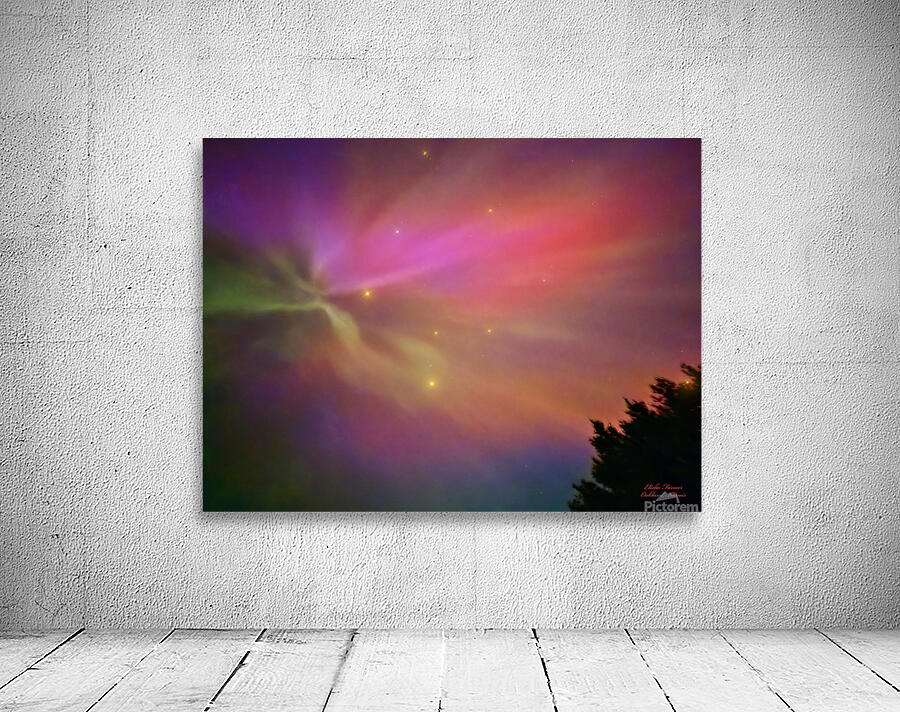 Starburst  Aurora by Elisha Farmer  Wall Preview