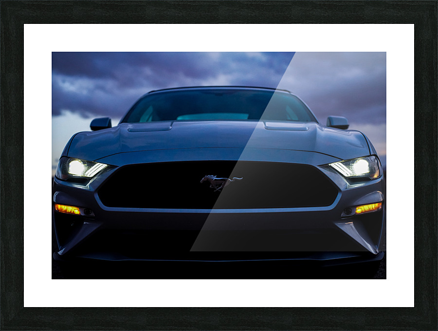 Rawr Picture Frame print