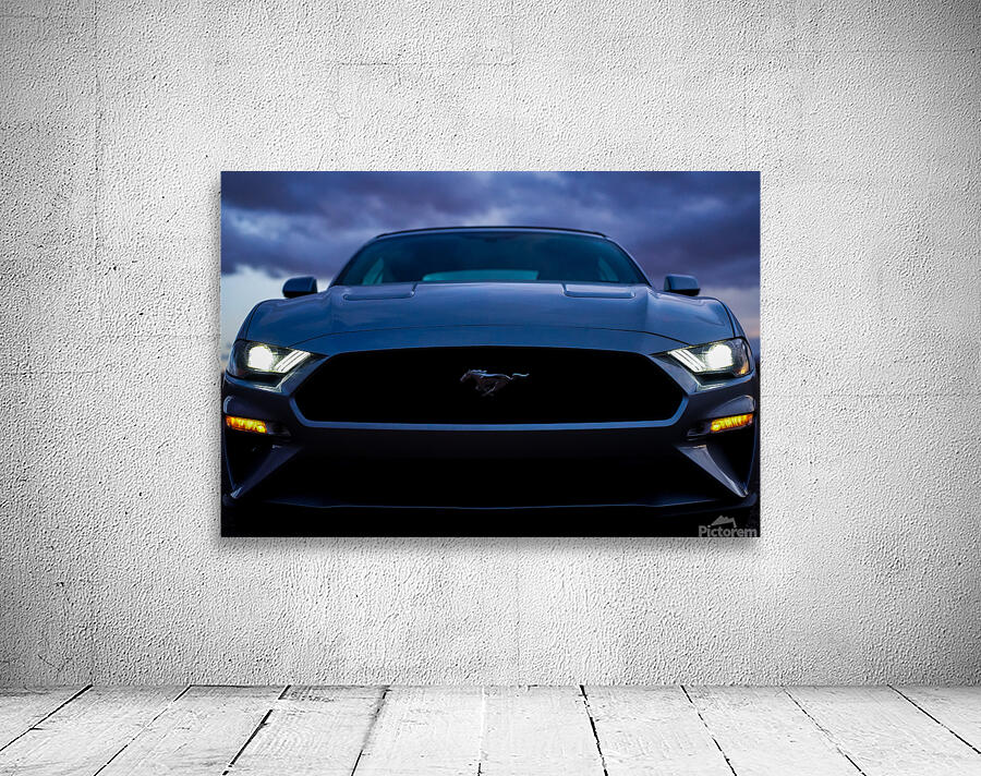 Rawr Wall Preview