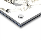 Flamenco Girl Acrylic print