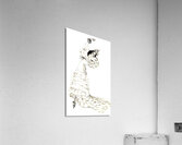 Flamenco Girl Acrylic Print
