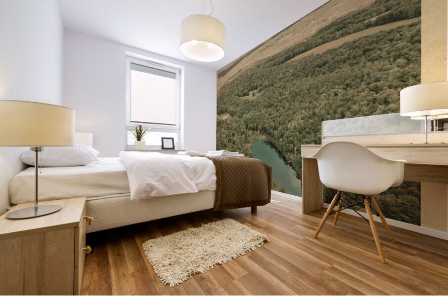 Catskills Pond Mural print