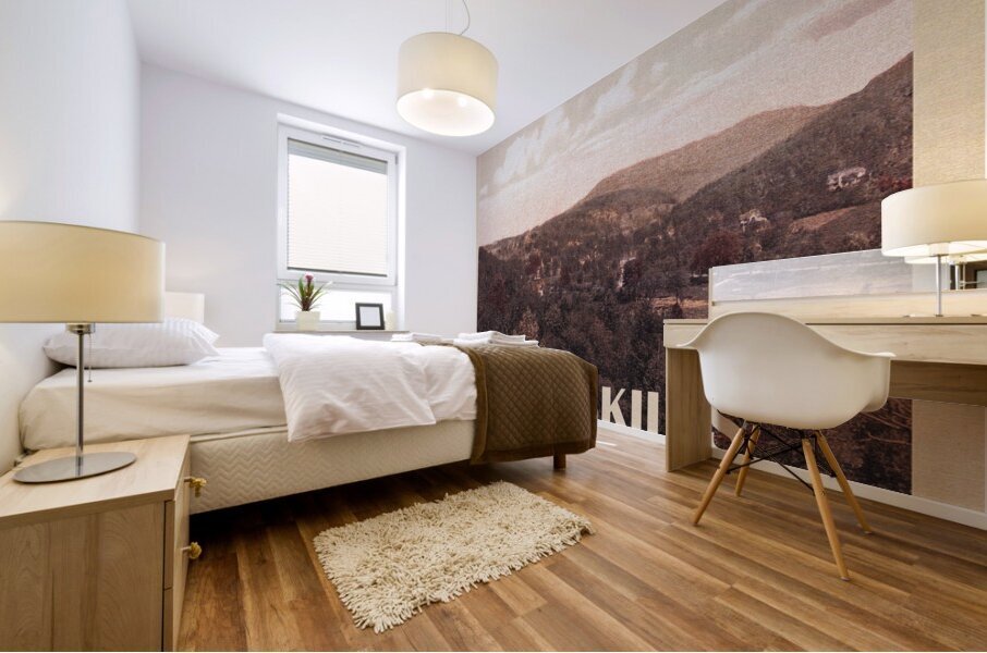 The Catskills  Mural print