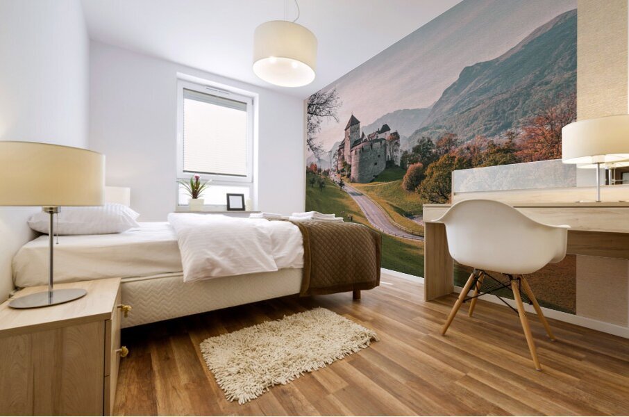 Vaduz Liechtenstein Mural print