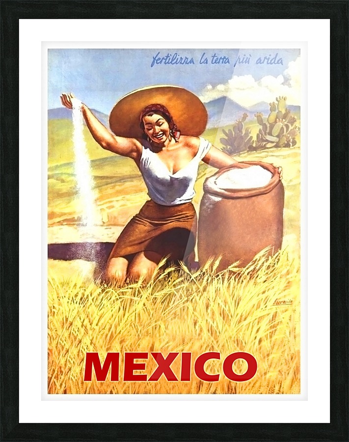Harvest in Mexico Picture Frame print