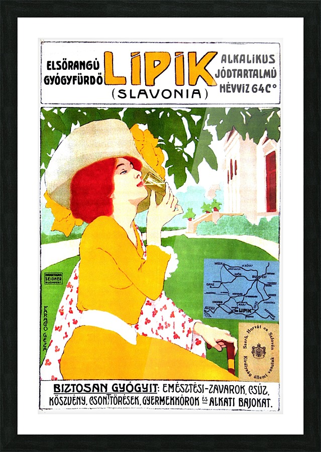 Lipik Slavonia Picture Frame print