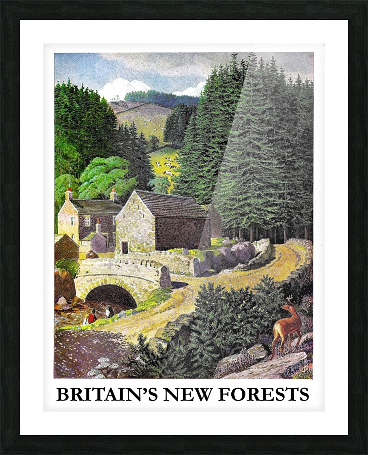 New Forests Picture Frame print
