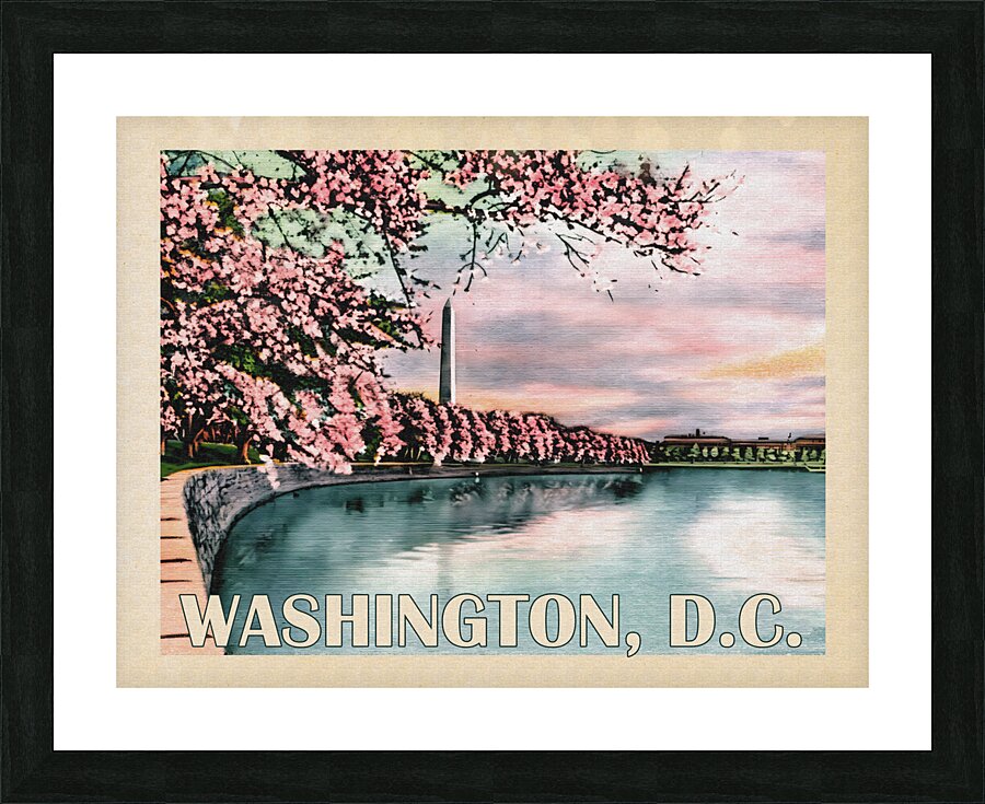 Washington DC Picture Frame print