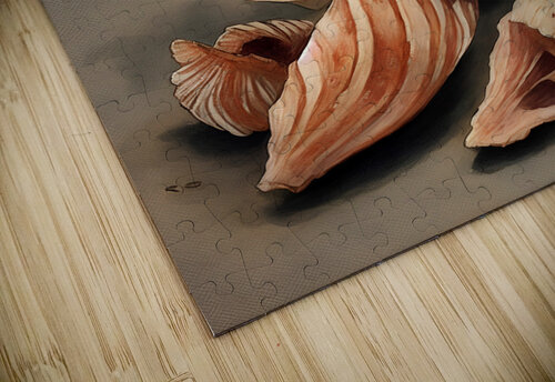 Seashell vintagesupreme puzzle