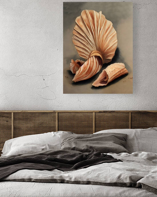 Seashell Reproduction