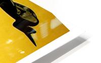 Air Africa HD Metal print