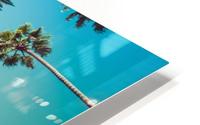 Palm Trees HD Metal print