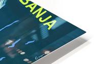 Vrnjacka Banja HD Metal print