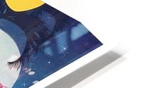Fly to Rio HD Metal print