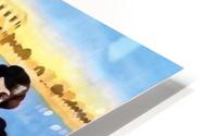Visit Florida HD Metal print
