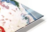 Newquay HD Metal print