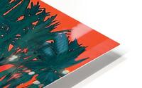 New Caledonia HD Metal print