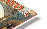 Arizona Play HD Metal print
