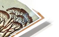 Live in Kent HD Metal print