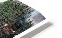 New Forests HD Metal print