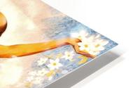 Montreux HD Metal print