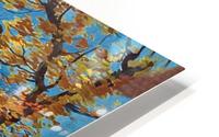Touraine HD Metal print
