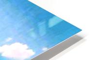 Albi HD Metal print