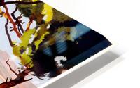 Cannes HD Metal print
