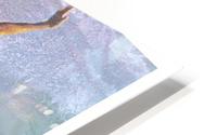Hawaii Surf HD Metal print