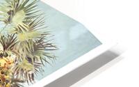 Cannes Garden HD Metal print