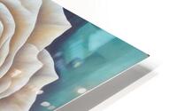 White Rose HD Metal print