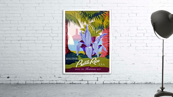 Discover Puerto Rico Wall Preview