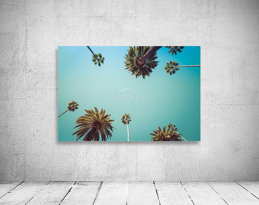 Palm Trees Wall Preview