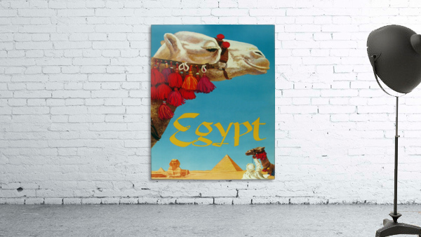 Camel on Egypt Wall Preview