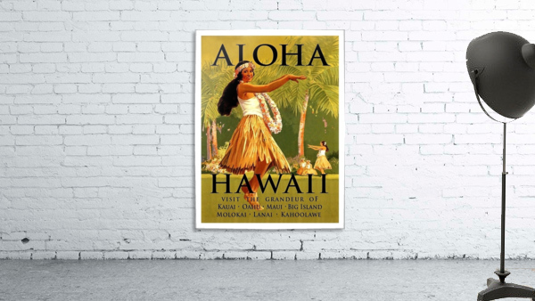 Aloha Hawaii Wall Preview