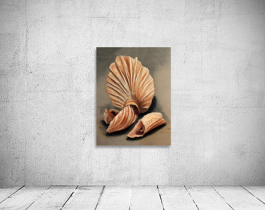 Seashell Wall Preview