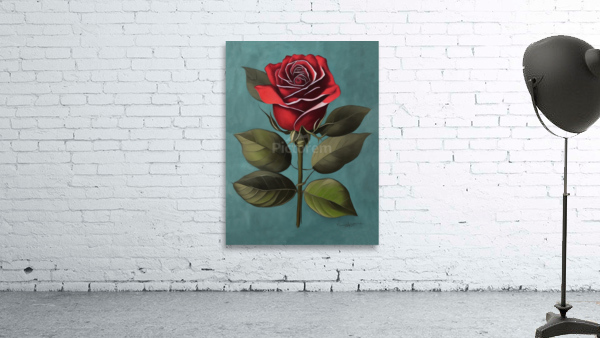 Red Rose Wall Preview