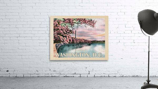 Washington DC Wall Preview