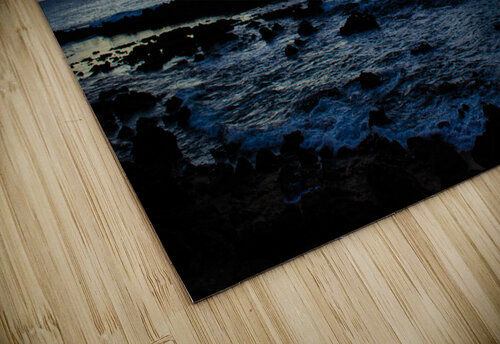 Sharks Cove Megan Shea puzzle