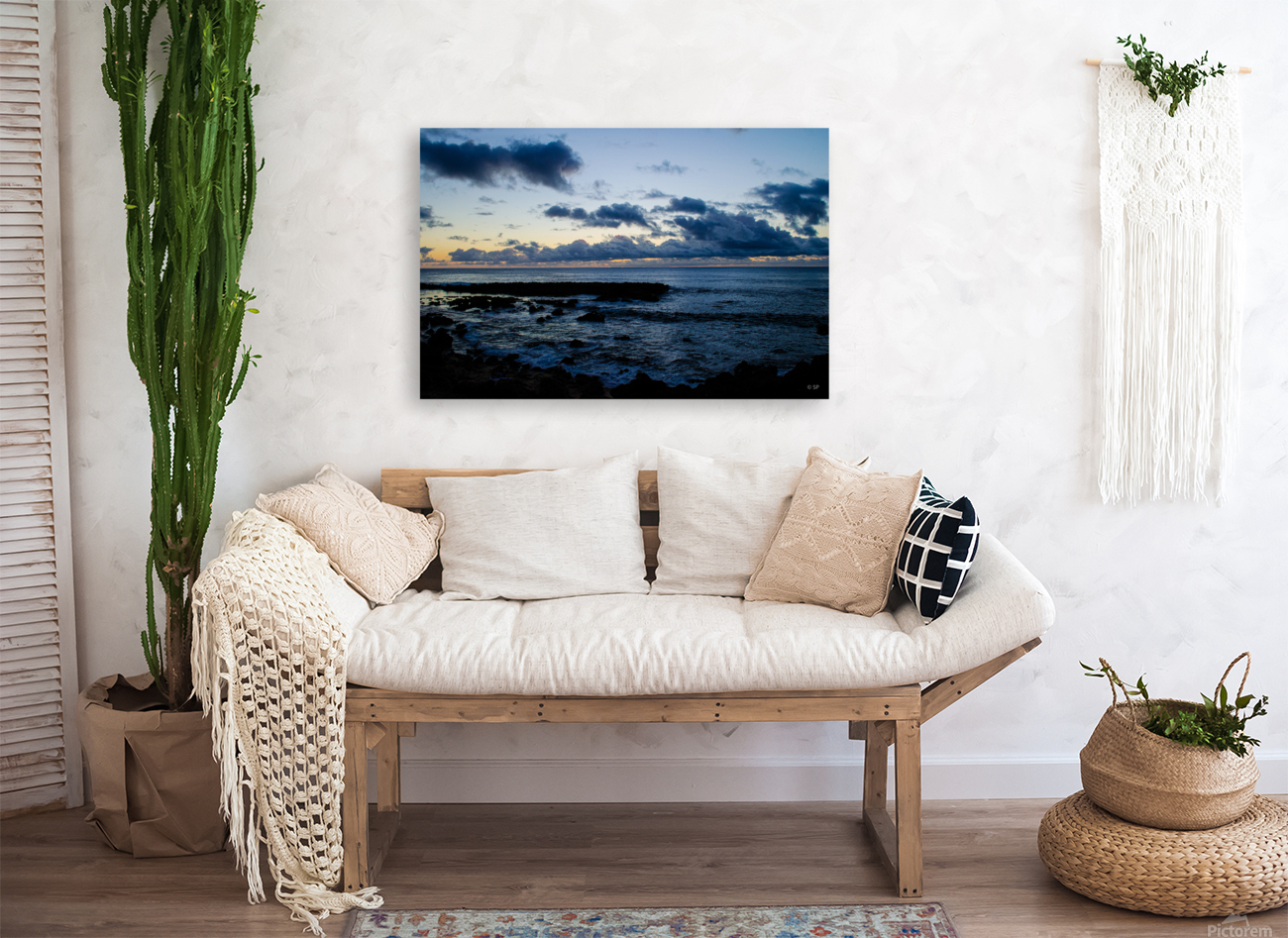 Sharks Cove Reproduction